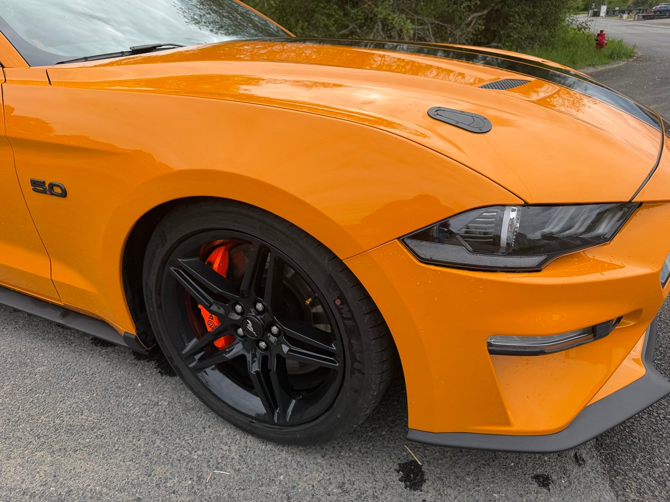 Ford MUSTANG FASTBACK  5.0 V8 GT BVA10 - Image 11