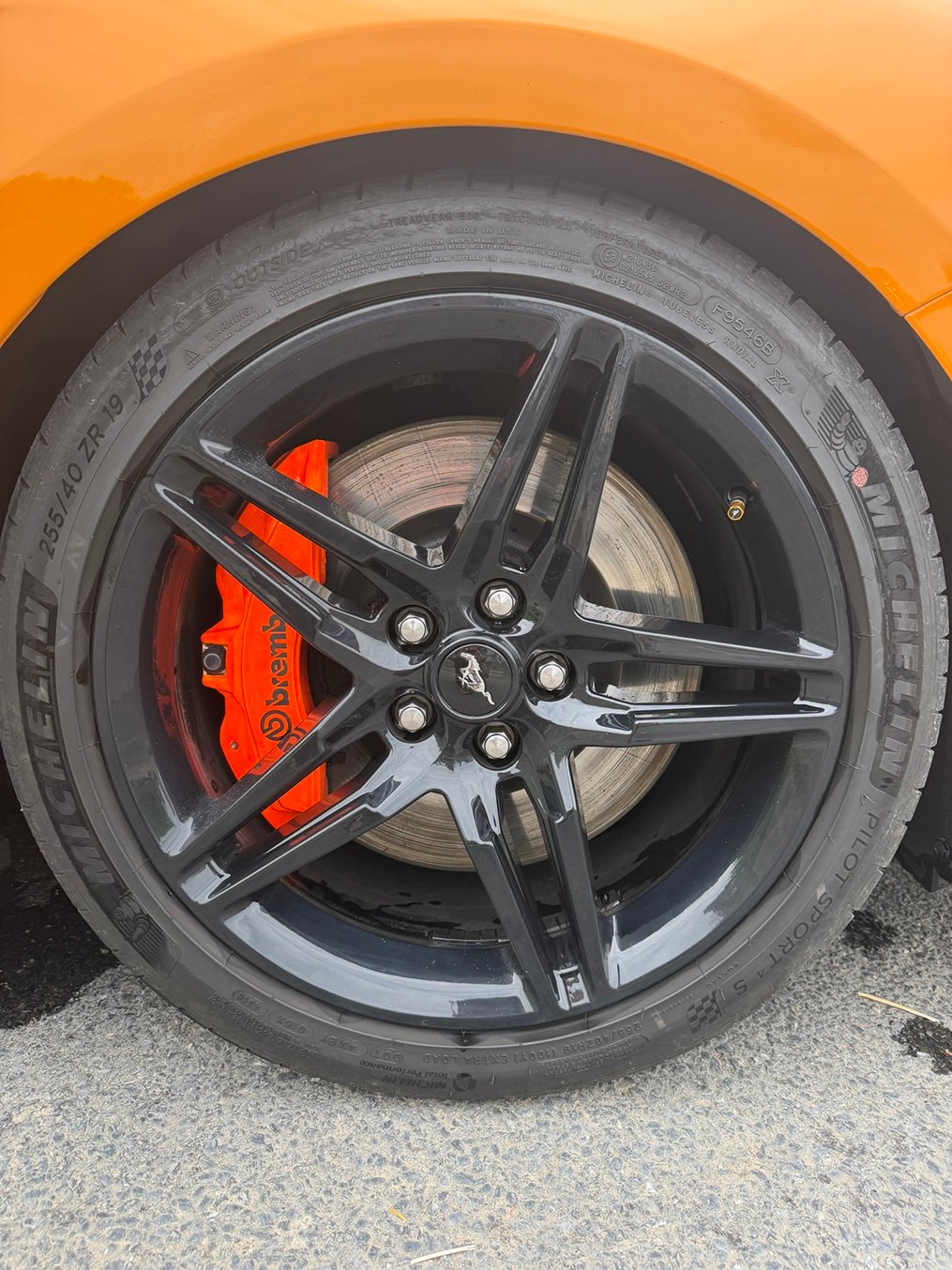 Ford MUSTANG FASTBACK  5.0 V8 GT BVA10 - Image 20