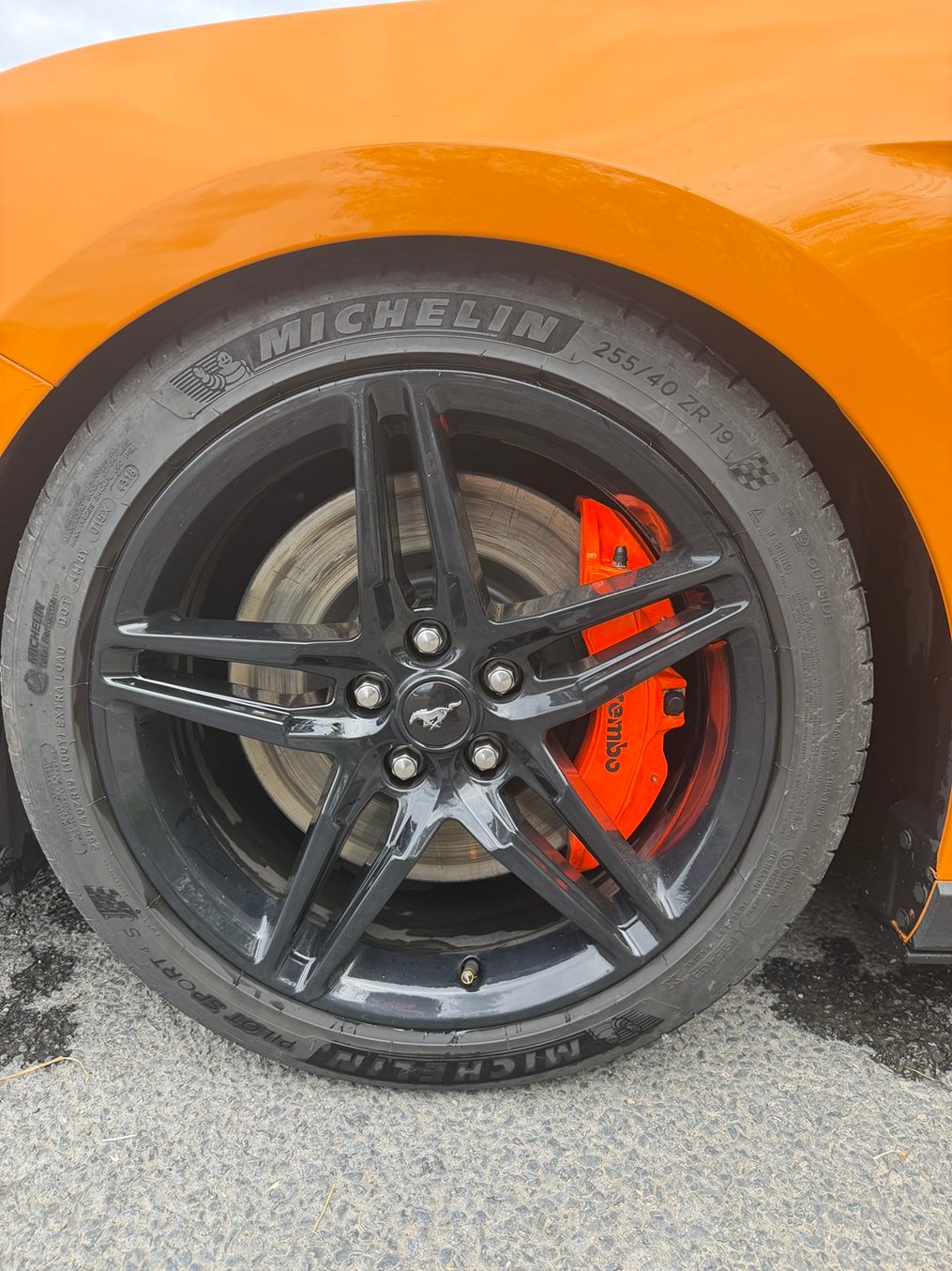 Ford MUSTANG FASTBACK  5.0 V8 GT BVA10 - Image 23